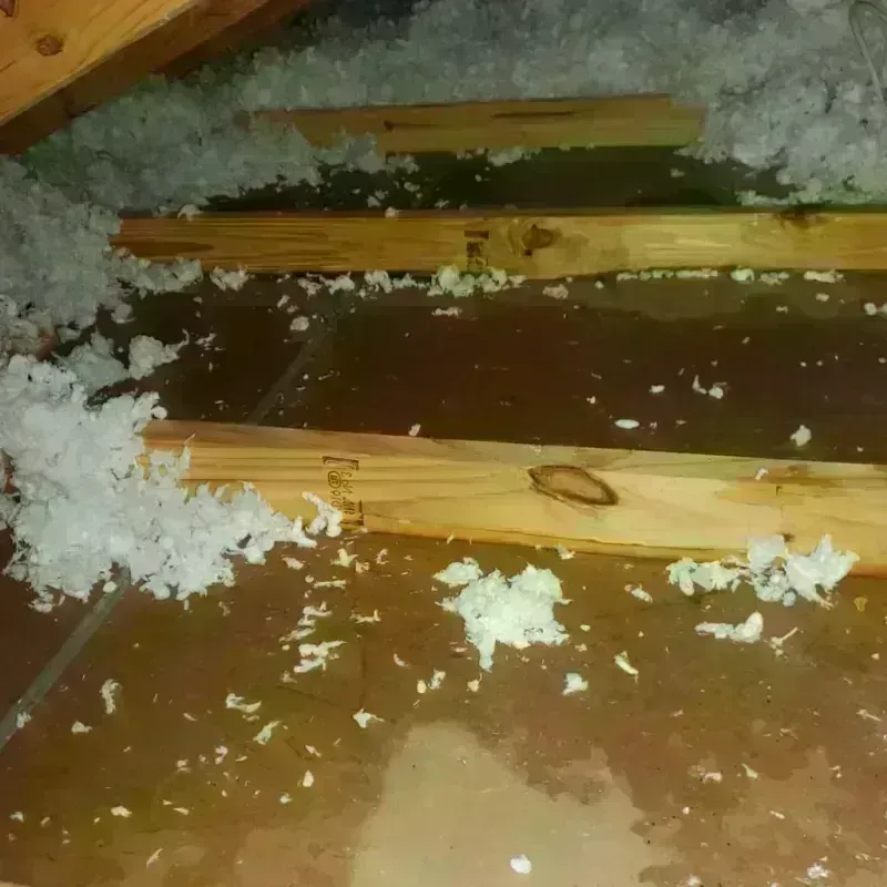 Attic Water Damage in Belle Haven, VA