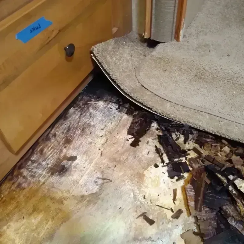 Wood Floor Water Damage in Belle Haven, VA